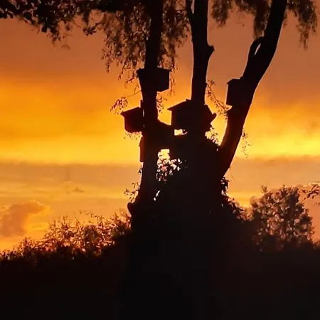 Small Cosy דירה סקנדרבורג