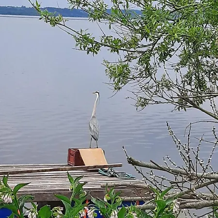 Appartamento Small Cosy